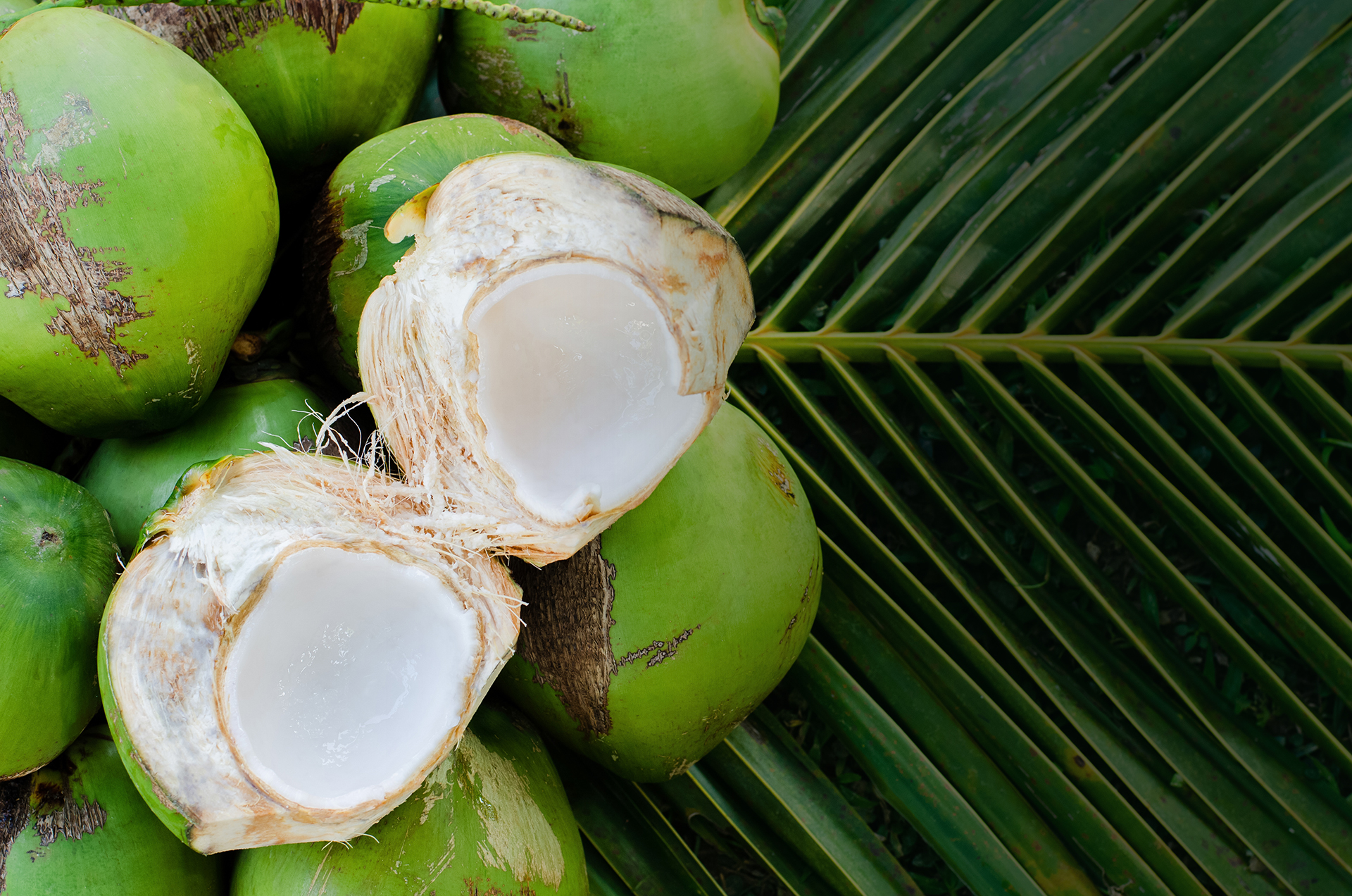 young-sweet-thai-coconut-fruits-with-white-meat-put-its-green-leaves-summer-fruit-concept